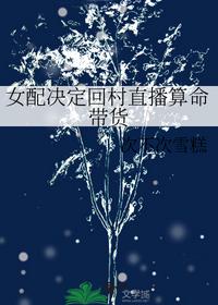 女配决定回村直播算命带货